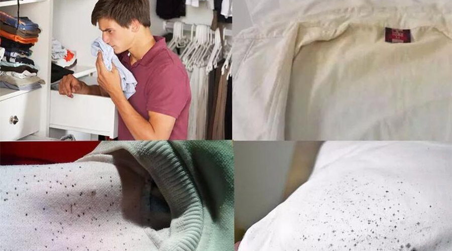 衣服護理小常識：潮濕天衣物有霉味不宜穿  該怎么辦？
