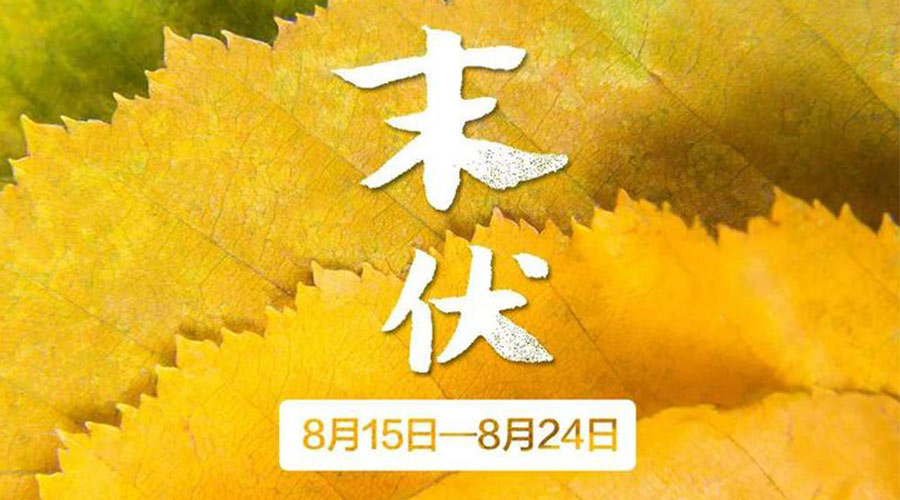 末伏時節(jié)！金環(huán)電器提醒你謹(jǐn)記這些注意事項(xiàng)