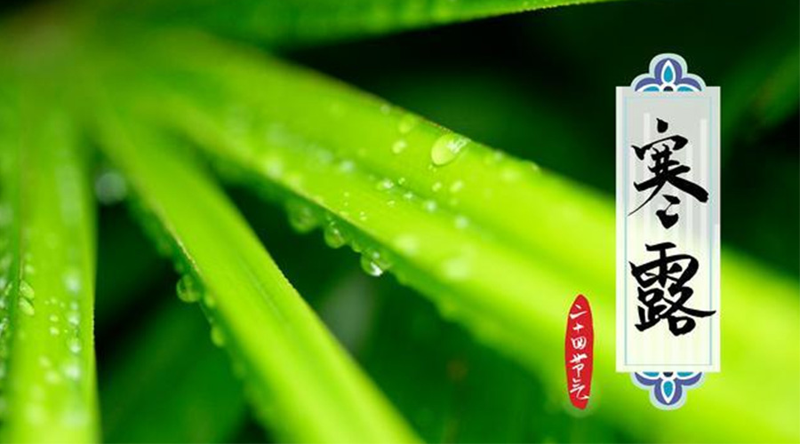 寒露時節(jié)到！金環(huán)電器提醒這些干衣事項要注意