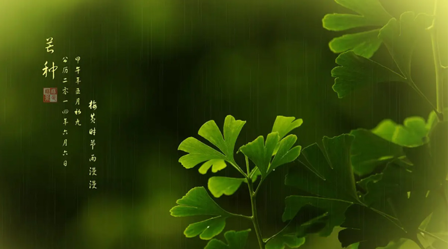 芒種時(shí)節(jié)！金環(huán)電器提醒大家的注意事項(xiàng)