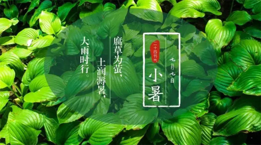 小暑時(shí)節(jié)來(lái)到！金環(huán)電器提醒大家要注意的事項(xiàng)