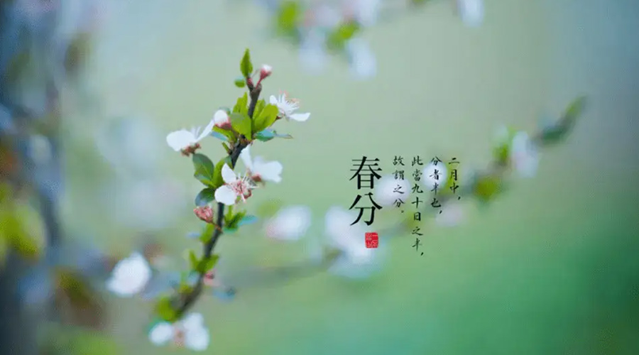 春分雨水多易生菌！金環(huán)電器提醒你衣物要注意處理