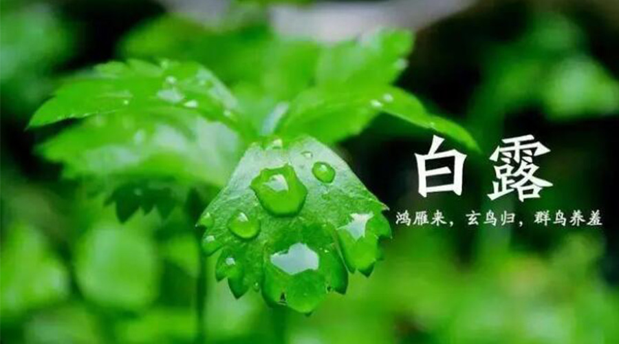 白露時節(jié)！金環(huán)電器提醒大家要注意的事項