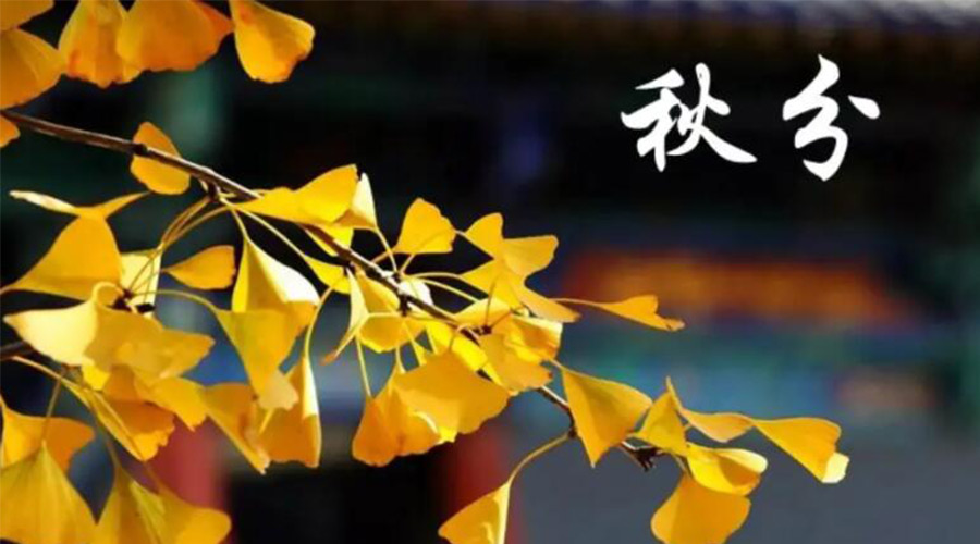 秋分時(shí)節(jié)！金環(huán)電器提醒大家要注意的事項(xiàng)