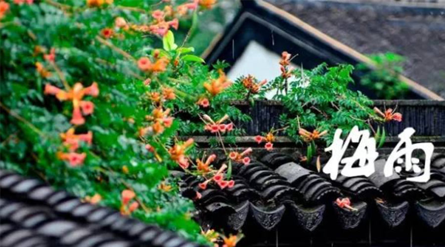 什么是梅雨？梅雨如何形成？  金環(huán)電器告訴你答案