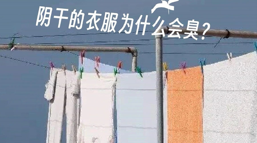為什么陰干的衣服那么臭  衣物護(hù)理機廠家來告訴你